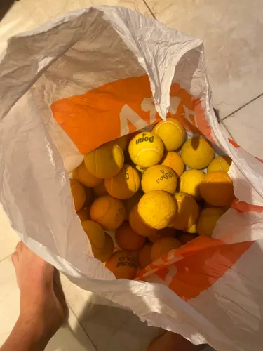bola para pet