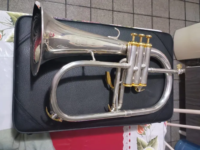 Flugelhorn hoyden prateado Bb