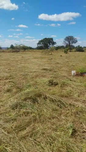 Terreno saída para a cidade prata