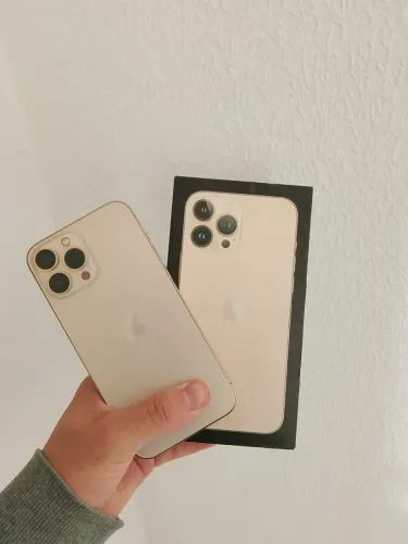 iPhone 13 Pro Max
