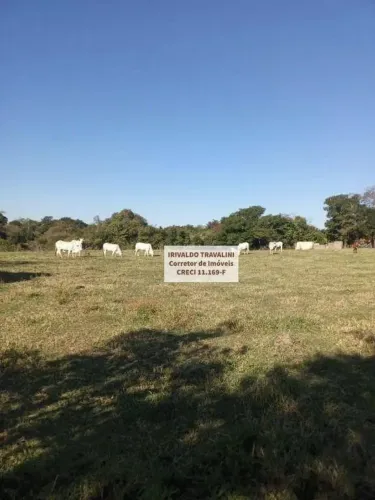 Sítio com 2 dormitórios à venda, 145200 m² por R$ 1.700.000 - Pau Queimado - Piracicaba/SP