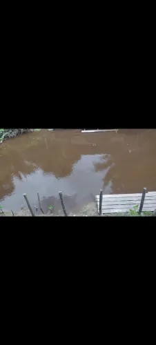 Vendo um terreno com igarapé 