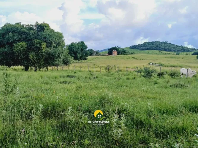 Sítio para Venda em Tanguá, Ipitangas, 3 dormitórios, 1 suíte, 1 banheiro