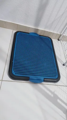 Tapete sanitário canino