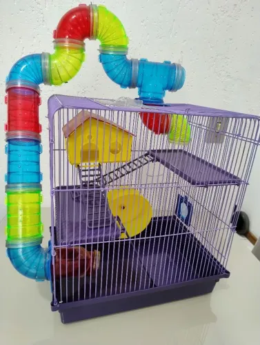 Gaiola hamster