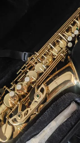 Saxofone Alto Michael Semi-novo.