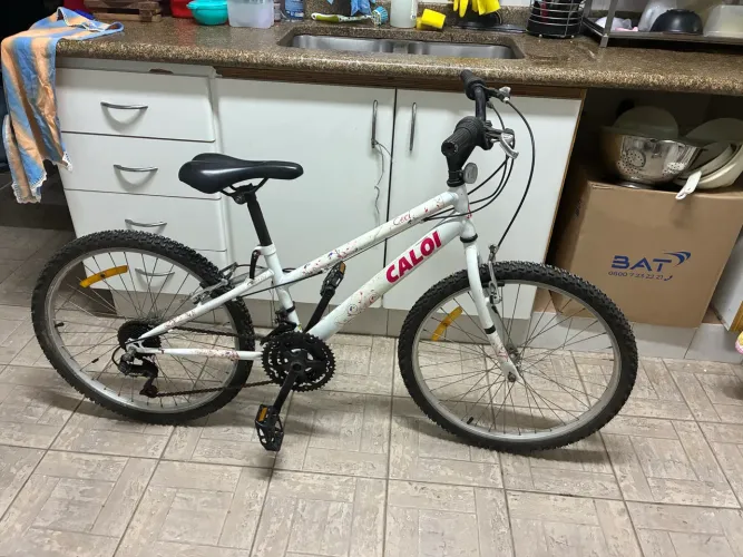 Bicicleta Caloi Ceci 21v aro 24