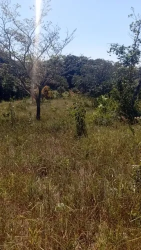 chácara 4.000metros 30 km Anápolis