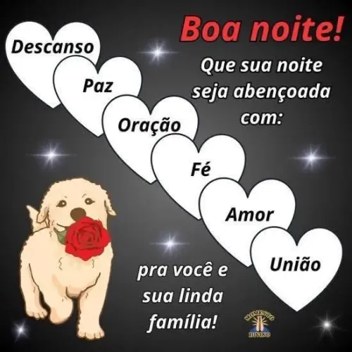 Cuidadora de Idosos Acompanhantes Diarista Curitiba Campo Largo 