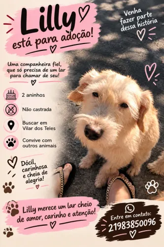 Doação de cachorra