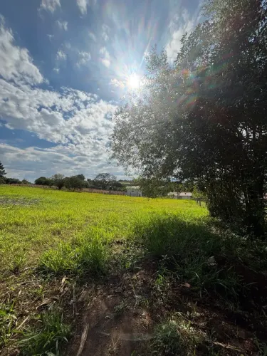 Meio Hectare em Taquara - chácara em Taquara