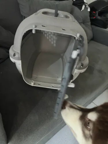 Transporte para animais domésticos 