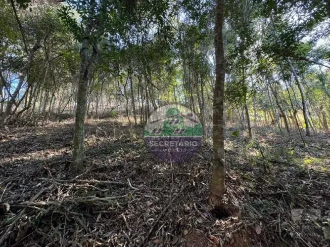 Terreno à venda, 3600 m² por R$ 490.000,00 - Nogueira - Petrópolis/RJ
