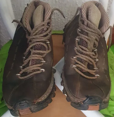 Bota