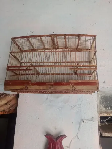 Vendo gaiola