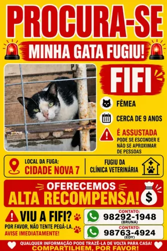 ALTA RECOMPENSA