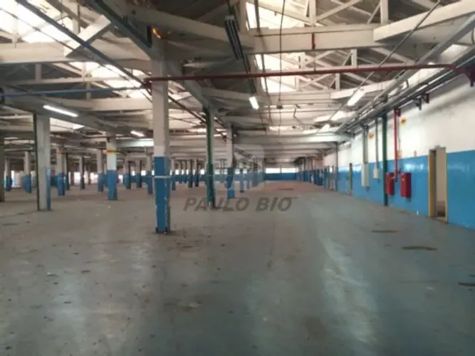 Galpão Industrial para alugar no Bairro Vila Arapuã em São Paulo - SP.