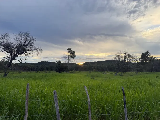 Fazenda em Pau Darco do Piauí 