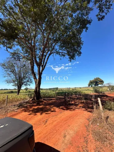 PROPRIEDADE RURAL À VENDA EM SANTA BÁRBARA DE GOIÁS GO | 16,27 ALQUEIRES