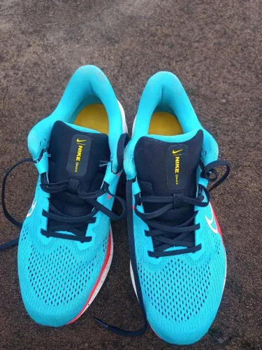 Tênis Nike