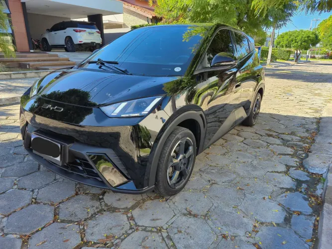 BYD Dolphin Mini (Elétrico) 2024