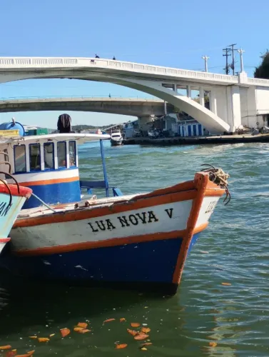 BARCO PESQUEIRO 12,5 METROS À VENDA