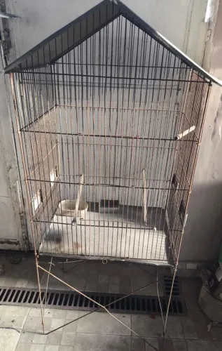 Gaiola Grande Passarinho