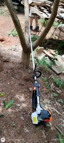 Poda e corte de árvores em geral