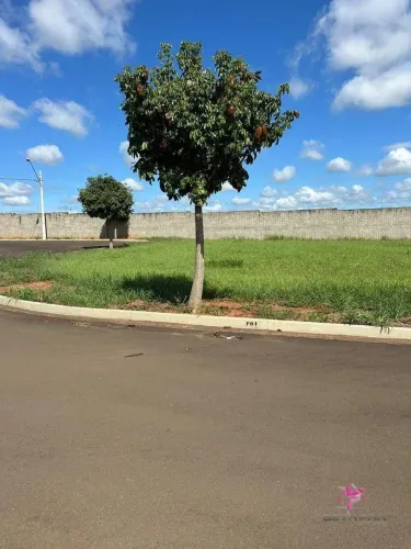 Terreno à venda, 372 m² por R$ 210.000,00 - Condomínio Agua Espraiada - Leme/SP
