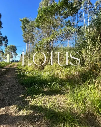 DESCUBRA COMO GARANTIR 1.000M² COM ÓTIMO VALOR