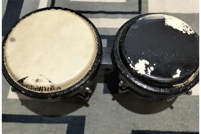 Bongô