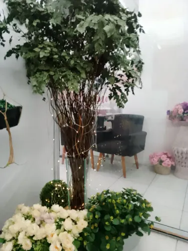Venda árvore preservada 1,90 de altura