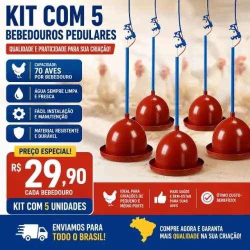 Bebedouro e Comedouros para Aves