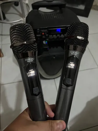 Microfone sem fio duplo