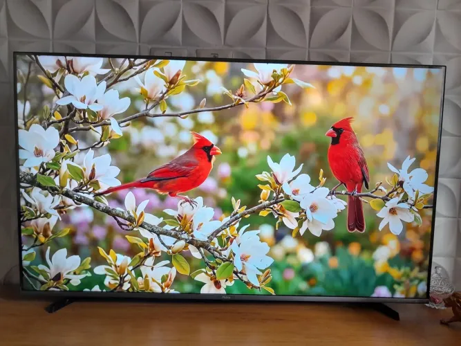 Tv Philco 4k 55 polegadas para assistir a Copa do Mundo