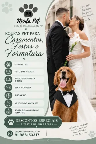 Roupa pet para casamento