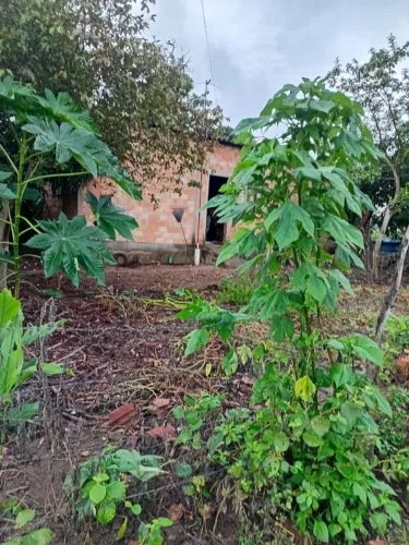 Casa no setor Jardim dos Ipes Aparecida de Goiânia