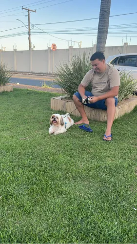 Posso cuidar do seu Pet !!!
