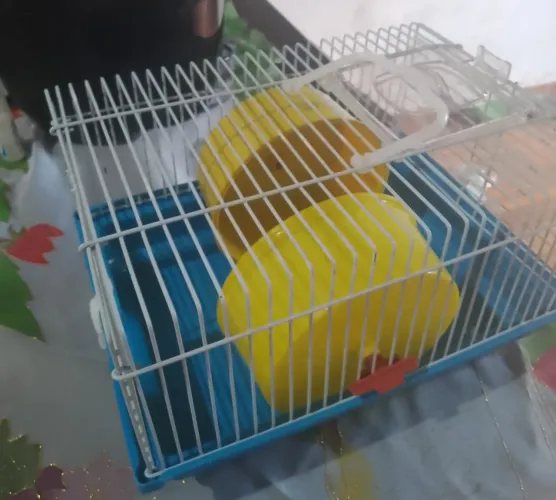 Gaiola