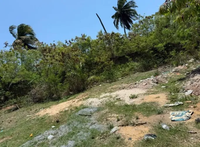 Terreno para Venda em São Miguel dos Milagres