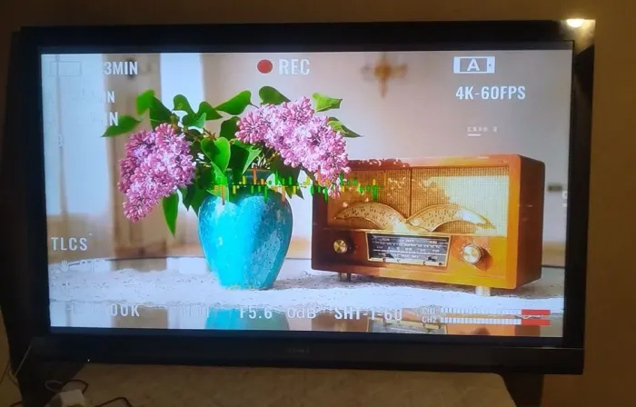 TV Sony 60 polegadas 