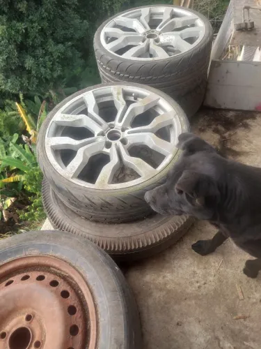 4 rodas aro 20 com Pneus perfil baixo