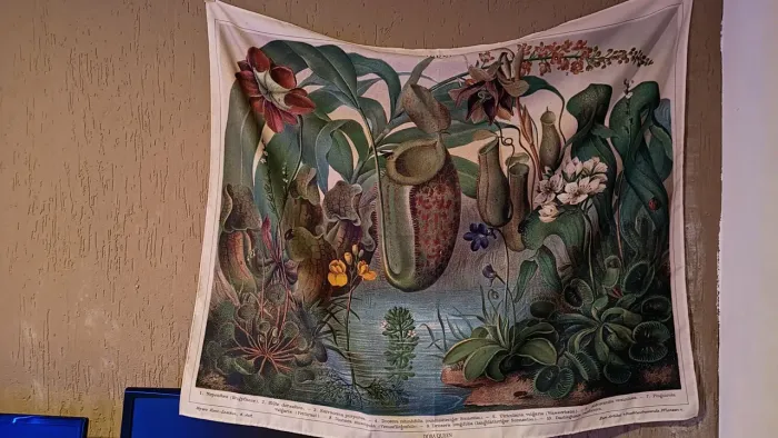 Bandeira / Pôster Vintage de Plantas Carnívoras Dora Queen - Tecido 