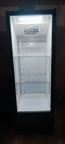 Refrigerador Expositor 256l Metal frio