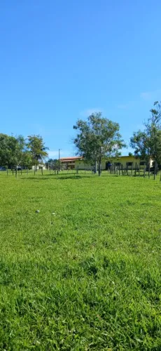 Sítio para Venda em Araruama, São Vicente de Paula, 6 dormitórios, 6 suítes, 3 banheiros, 