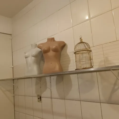 Busto manequim feminino