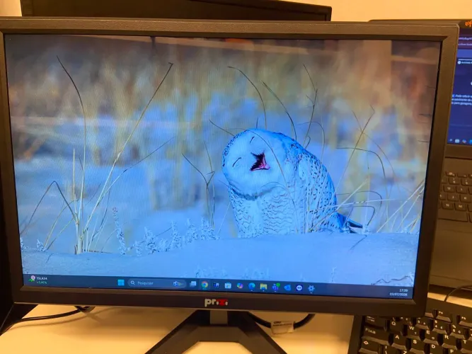 Monitor 19 polegadas HDMI