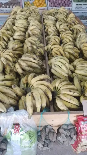 Vendo bananas para revenda