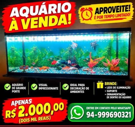 AQUÁRIO GRANDE COMPLETO - PRONTO PRA USAR!