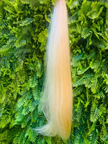 Cabelo Humano